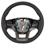 Steering Wheel (Platinum, PLATINUM ebony) Main Image