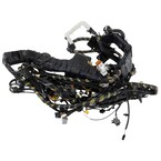 Wiring Main - Front, Rear, Back Main Image