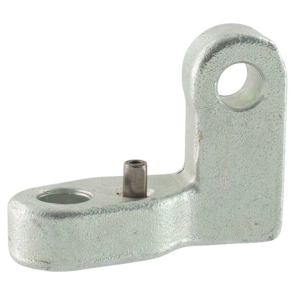 548591.jpg