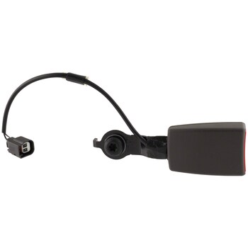 Seat Belt - Left, Rear