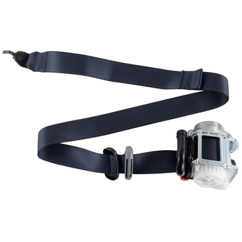 Seat Belt - Right, Rear