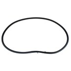 Door Seal Weatherstrip - Left, Right, Front Main Image