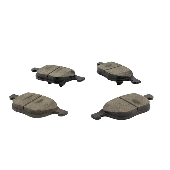 442597.jpg