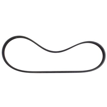 Serpentine Belt