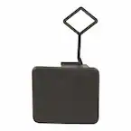 Tow Hook Cover - Rear Main Image