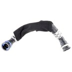 Radiator Coolant Hose Main Image