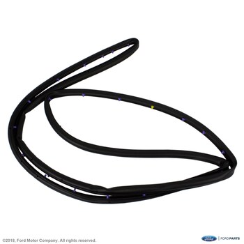 Door Seal Weatherstrip - Left, Front