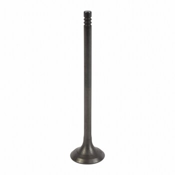 Engine Exhaust Valve - 1.0L (AT)