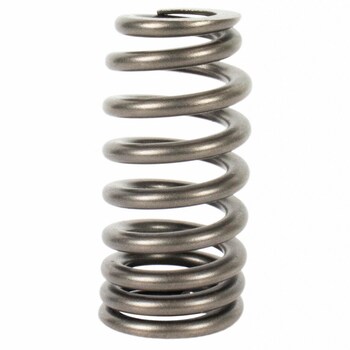 Engine Valve Spring - 5.2L