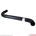 Radiator Coolant Hose - Upper (Lightning, SVT Lightning) Main Image