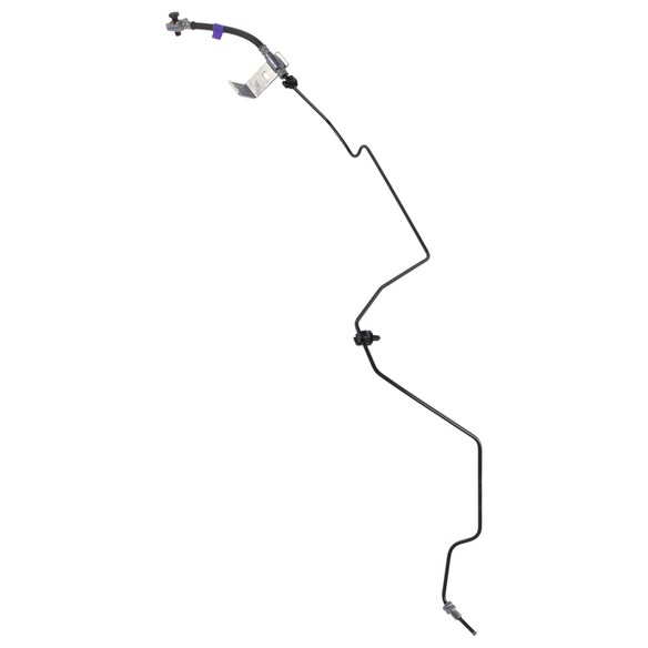 541617.jpg