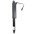 Suspension Shock Absorber - Rear Main Image