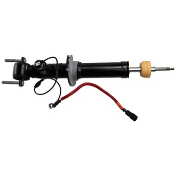 Suspension Strut - Right, Front