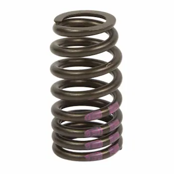 Engine Valve Spring