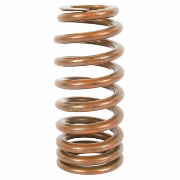 Engine Valve Spring - 5.2L