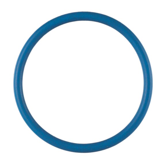 "O" Ring (AT) Main Image