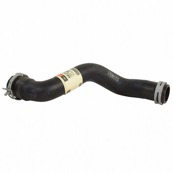 Radiator Coolant Hose - Lower (6-MT)