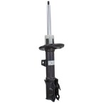 Suspension Strut Shock Absorber - Right, Front 1.0L Main Image