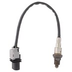 Oxygen Sensor Hego Main Image