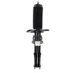 Suspension Strut Shock Absorber - Front Main Image