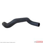 Radiator Coolant Hose - Lower 3.0L Main Image