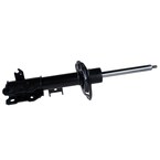 Suspension Shock Absorber - Left, Front Main Image