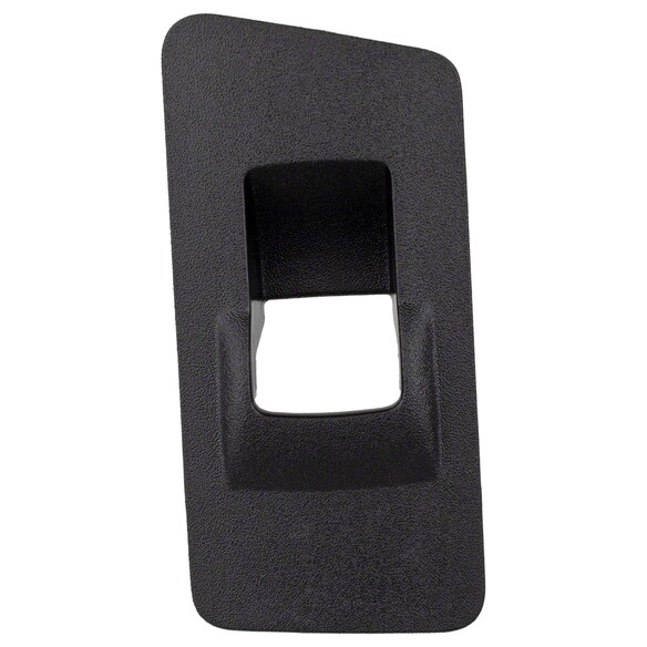 Door Switch Trim Panel - Right, Rear Main Image