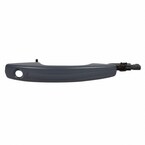 Exterior Door Handle - Left, Front (Premier, SELect) Main Image