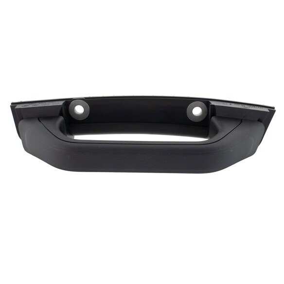 Interior Grab Bar Assist Handle Main Image