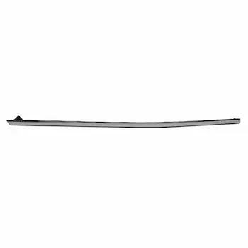 Door Window Belt Weatherstrip - Right, Front, Driver