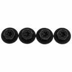 Sunroof Frame Bolt Glass Screw Main Image