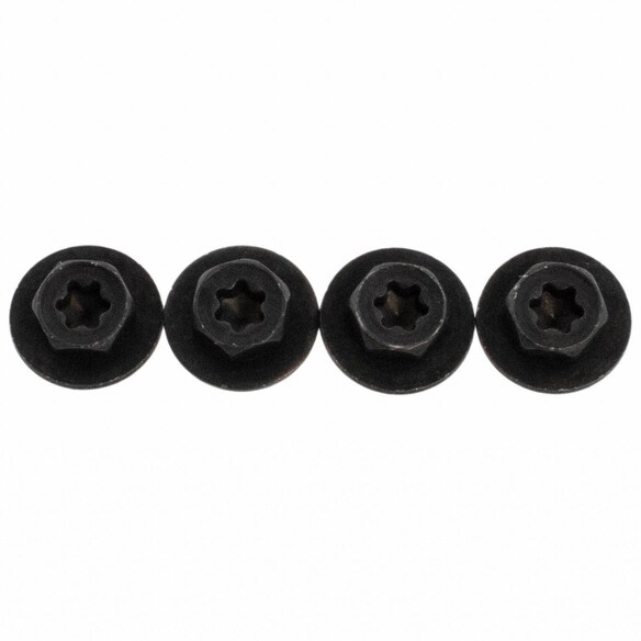 Sunroof Frame Bolt Glass Screw Main Image