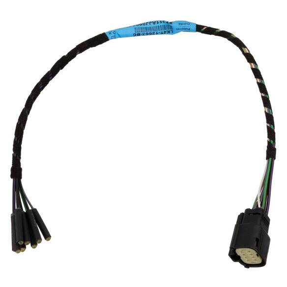 Wiring LAMPS - Rear Main Image