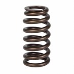 Engine Valve Spring Main Image
