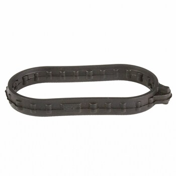 Engine Oil Cooler Gasket