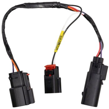 Tail Light Socket - Rear