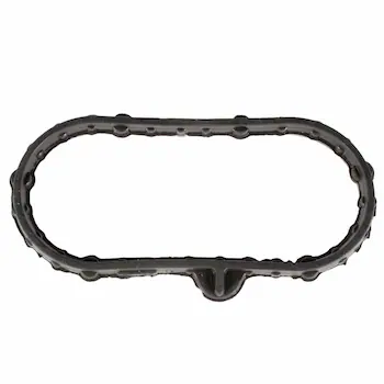Engine Oil Cooler Gasket