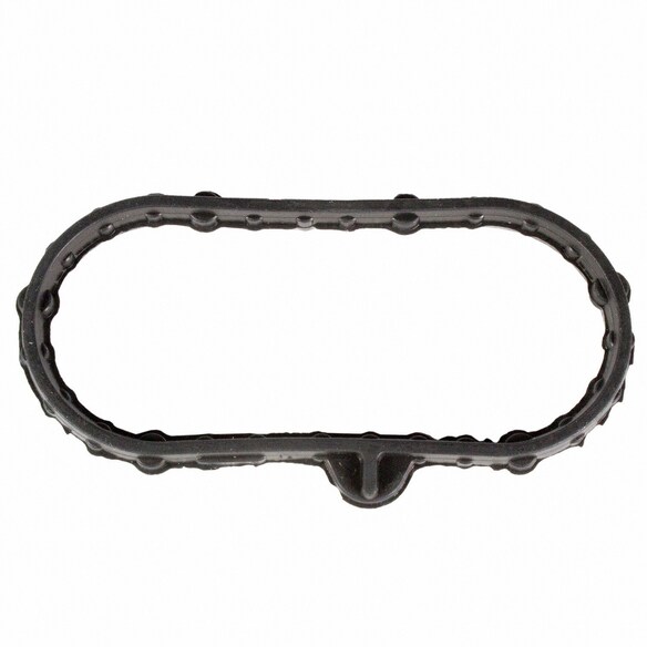 Engine Oil Cooler Gasket Main Image