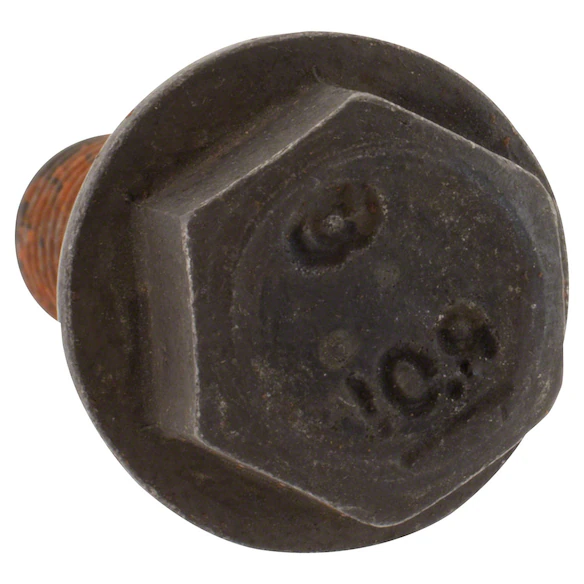 503640.jpg
