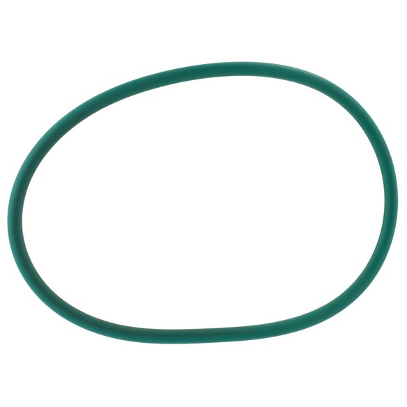 Device that seals the tank around fuel pump O Ring Main Image