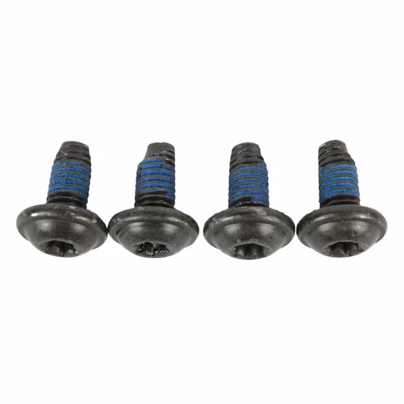 Door Latch Bolt Screw - M6 X 8.25 PC TI CTP Main Image