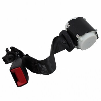 Seat Belt Lap and Shoulder - Rear