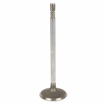 Engine Intake Valve - Inlet 3.0L