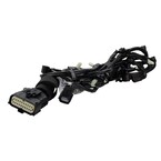 Wire - Rear 2.5L Main Image