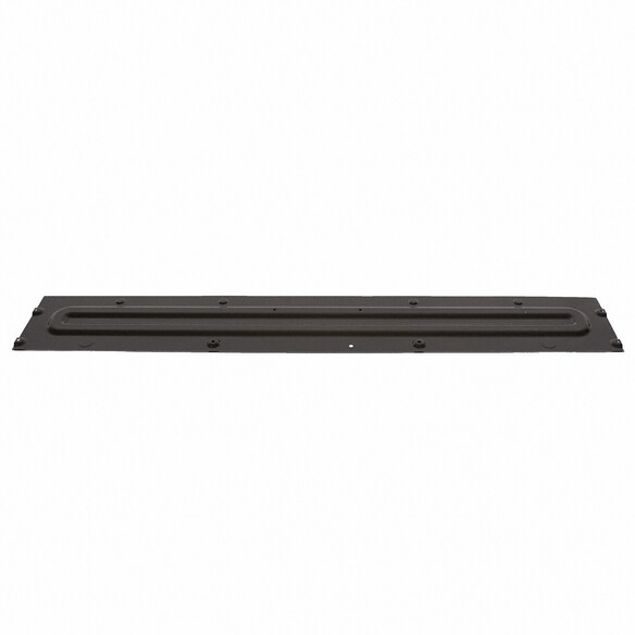 Tailgate Gap Cover (SVT) Main Image
