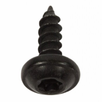 Door Belt Molding Screw
