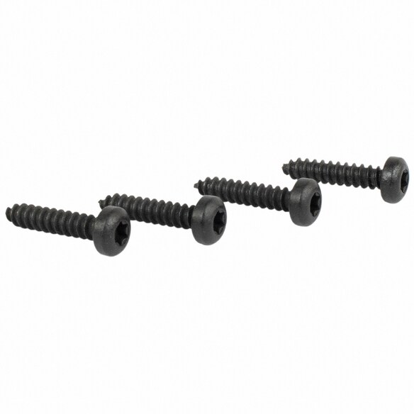 Interior Grab Bar Screw Sun Visor Holder Main Image