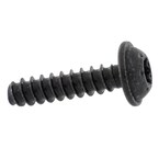 Screw Torx Head Main Image