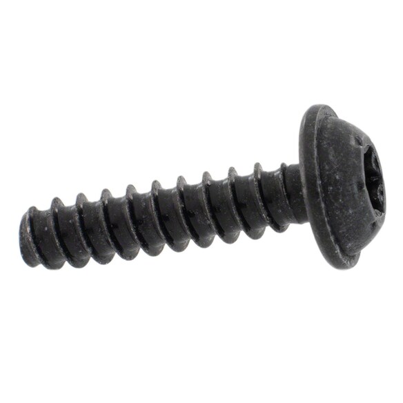 Screw Torx Head Main Image