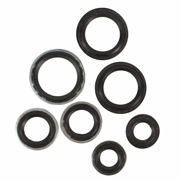AIR CONDITIONING (A/C) Line o-ring Kit O Ring Main Image